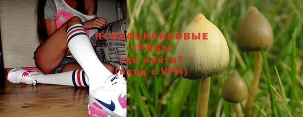 спайс Абдулино