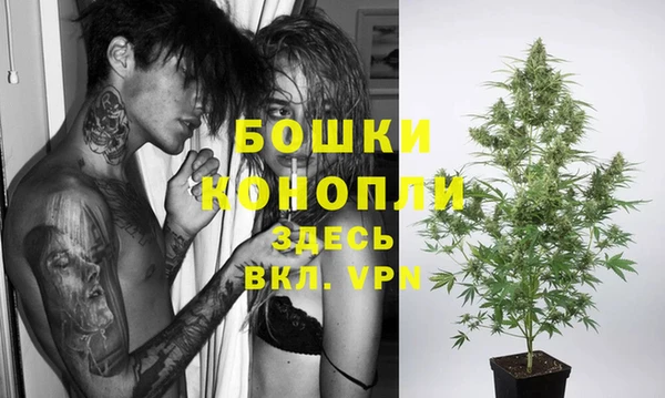 Альфа ПВП Абаза