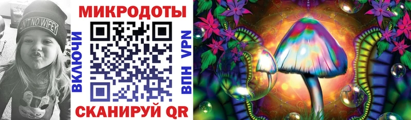 площадка формула  Ильский  Галлюциногенные грибы Psilocybine cubensis 